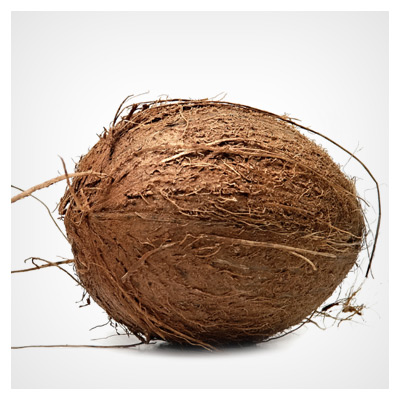 دانلود عکس شاتراستوک یک عدد نارگیل ارائه شده با پسوند jpg