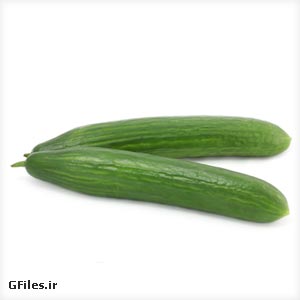 عکس با کیفیت خیار