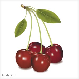 وکتور آلبالو بصورت لایه باز