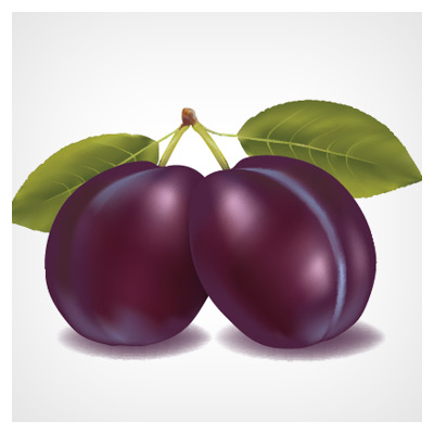وکتور آلوسیاه