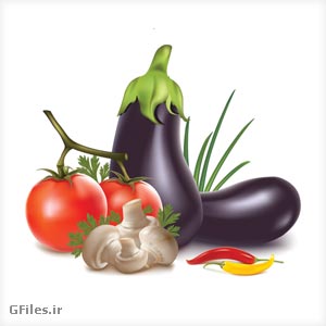 مجموعه وکتور صیفیجات