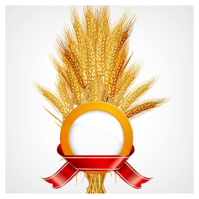 دانلود وکتور لایه باز و لیبل گندم های طلایی (Wheat free vector download)