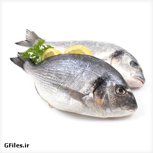 دانلود تصویر باکیفیت با موضوع ماهی، دو ماهی تازه صید شده با فرمت jpg