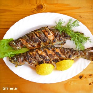 عکس با کیفیت ماهی بریان