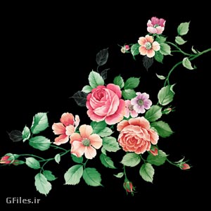 دانلود فایل لایه باز psd دسته گل های مینیاتوری و زیبای رز (Rose Flower Psd)