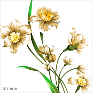 گلهای نرگس نقاشی شده