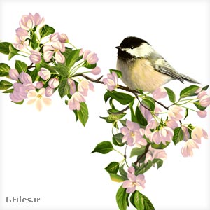 فایل لایه باز گنجشک و شکوفه