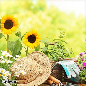 گل و باغبانی