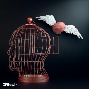 فرار مغزها
