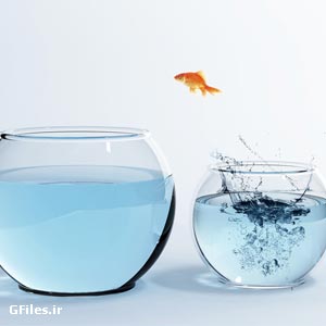 عکس با کیفیت تنگ ماهی