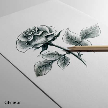 موکاپ اسکچ روی کاغذ
