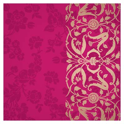 paisley design border