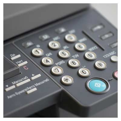 عکس با کیفیت فاکس
