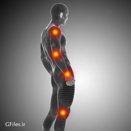 عکس با کیفیت مجموعه مفصل های دست و پای انسان