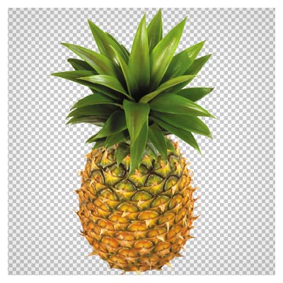 فایل دوربری شده و با کیفیت میوه آناناس (Pineapple Fruit PNG Clipart)