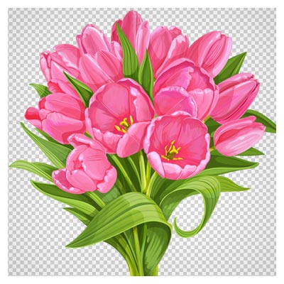 تصویر png (ترانسپرنت) و کارتونی دسته گلهای لاله صورتی (Pink tulip flowers)