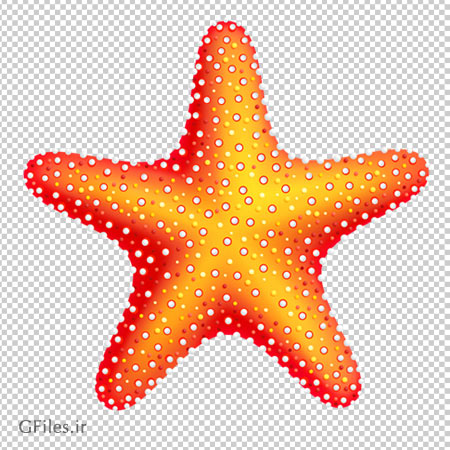 فایل ترانسپرنت و دوربری شده صدف دریایی (PNG)