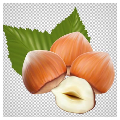 فایل png فندوق بصورت دوربری شده و بدون زمینه