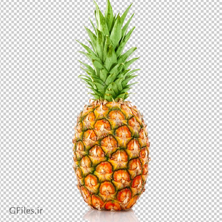 فایل دوربری شده میوه آناناس با فرمت png