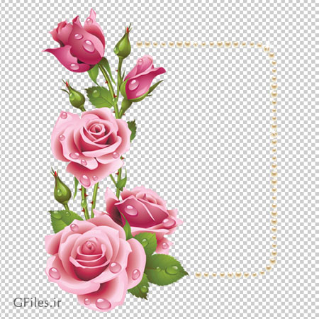 فایل png قاب و حاشیه گل های رز صورتی زیبا
