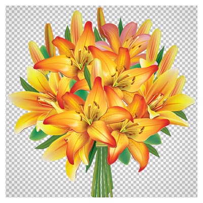 دسته گل زیبای گلهای لیلیوم نارنجی (PNG بدون پس زمینه)
