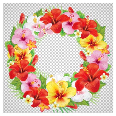 حلقه گل های رنگی با فرمت png (ترانسپرنت)
