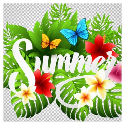 تصویر بنر png تابستان (Summer Banner Png)