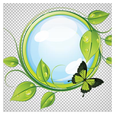 فایل png قطره و برگهای سبز