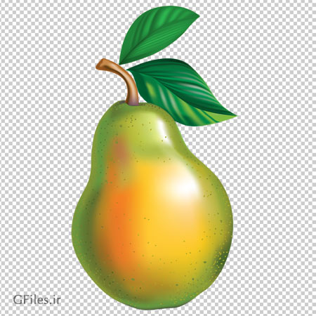دانلود رایگان فایل دوربری شده گلابی (png)