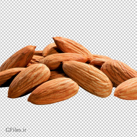 فایل رایگان بادام درختی (دوربری شده با کیفیت)