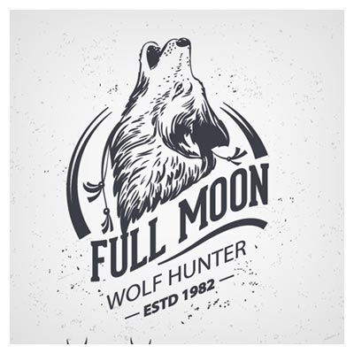 مجموعه لوگوی وکتوری و تکرنگ گرگ و روباه (Animal Logo Illustration Vintage Vector Material)