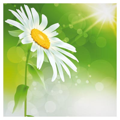 وکتور لایه باز گل بابونه در زمینه سبز (Bright With Flowers free vector)