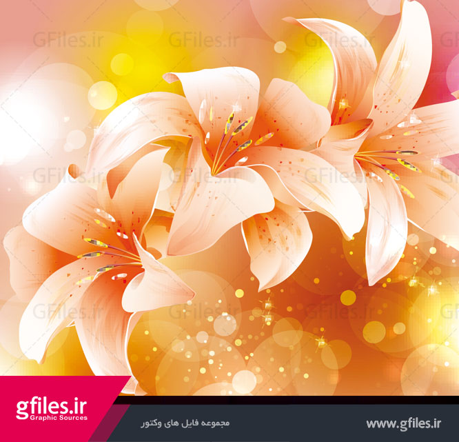 brilliant-petal-background-vector