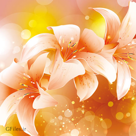 وکتور رایگان گل های لیلیوم لایه باز (Brilliant Petal Background Vector)