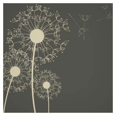 پس زمینه وکتوری گل های قاصدک (dandelion illustration )