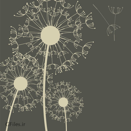 پس زمینه وکتوری گل های قاصدک (dandelion illustration )