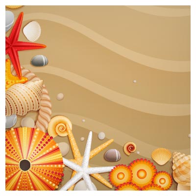 بنر وکتور ستاره دریایی ، صدف و ... بصورت لایه باز (Seashells Starfish)