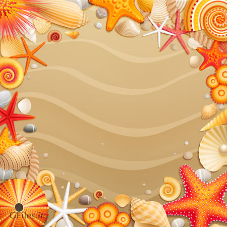 بنر وکتور ستاره دریایی ، صدف و ... بصورت لایه باز (Seashells Starfish)