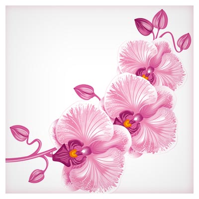 دانلود رایگان وکتور گل های صورتی ارکیده (Orchid Flower)