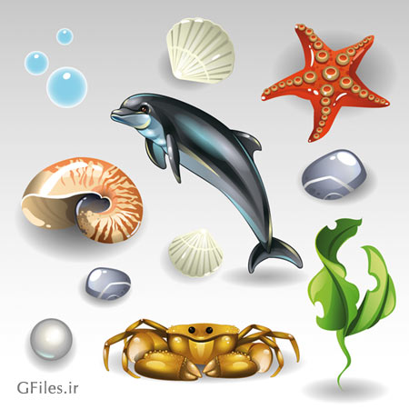 وکتور مجموعه المان های سه بعدی دریایی شامل دلفین ، ستاره دریایی (Shining Seashells Design vector set)