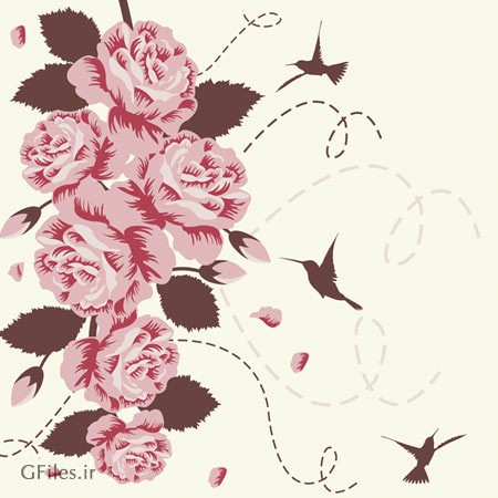 وکتور گل های رز و مرغ مگس خوار (Rose Bird vector background)