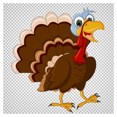کلیپ آرت کارتونی بوقلمون با فرمت PNG با کیفیت بالا (Transparent Thanksgiving Turkey Picture)