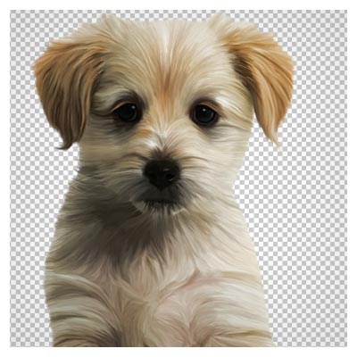 عکس دوربری شده سگ (Puppy) با کیفیت بالا (Cute Puppy PNG Clipart Image)