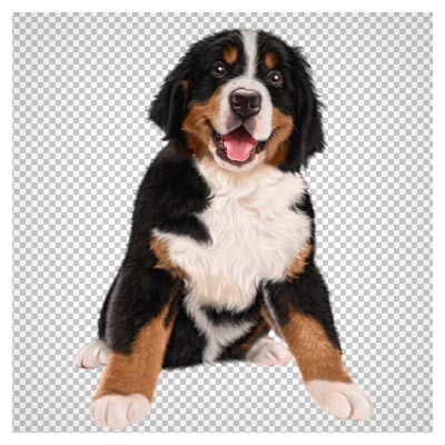تصویر دوربری شده سگ (Dog Png)(Dog Transparent Clipart Image)