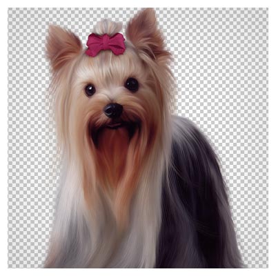 فایل دوربری شده سگ اسکاتلندی (png با کیفیت بالا)(Painted Scotch Collie Dog PNG Picture Clipart)