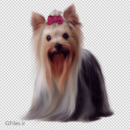 فایل دوربری شده سگ اسکاتلندی (png با کیفیت بالا)(Painted Scotch Collie Dog PNG Picture Clipart)