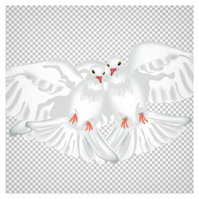 فایل کارتونی png (دوربری شده) کبوترهای عاشق (Dove cartoon PNG)
