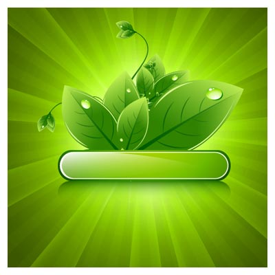 بکگراند و لیبل برگ های سبز (پس زمینه سبز)(Green Leaf Background Vector)