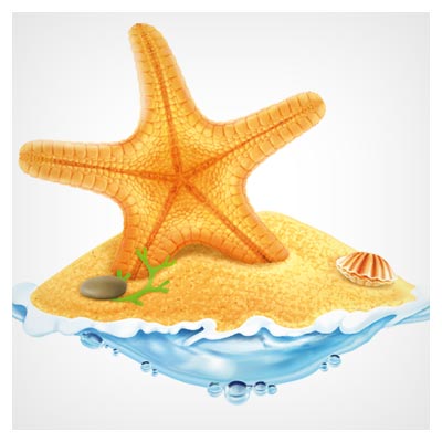 دانلود رایگان پس زمینه وکتور ساحل و ستاره دریایی (Sea Island Summer Holiday Elements vector background)