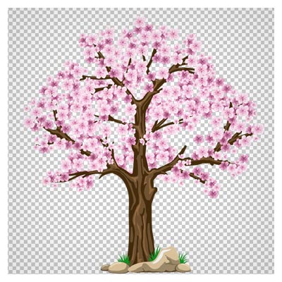 فایل با کیفیت دوربری شده (PNG) درخت بهاری (درخت با شکوفه های بهاری)